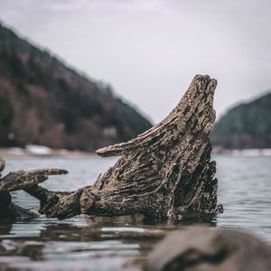 Image post by @cristan.nature.photography on Instagram
