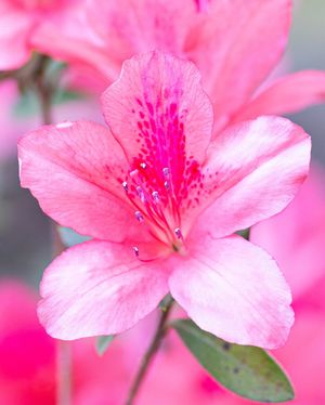 Image post by @uofsc_hrsm on Instagram