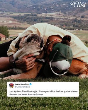 Image post by @thegistusa on Instagram