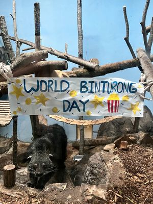 Image post by @bhamzoo on Instagram