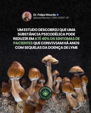 Image post by @doutordiamba on Instagram