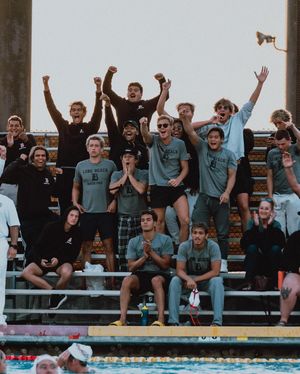 Image post by @lbccaquatics on Instagram