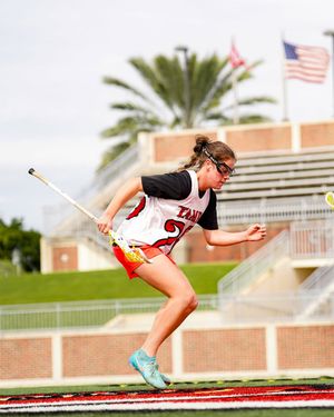 Image post by @utampawlax on Instagram