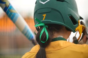 Image post by @ndsusoftball on Instagram