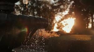 Video post by @theparliamentafhs on YouTube