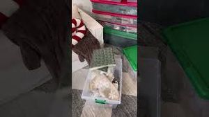 Video post by @shop_ltk on YouTube