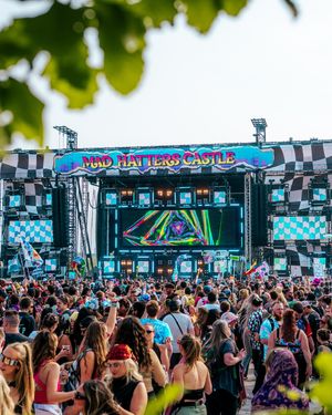 Image post by @bassrush on Instagram