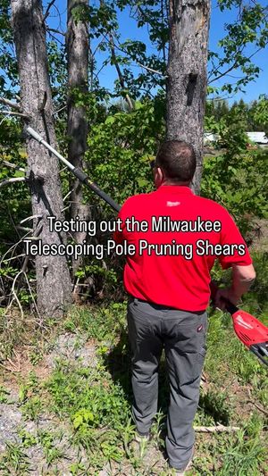 Video post by @JCCayer on Facebook