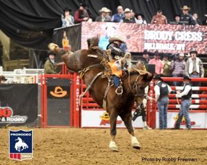 Image post by @prca_prorodeo on Instagram