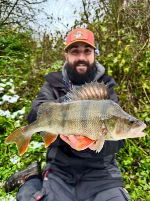 Image post by @realjonaseder on Instagram