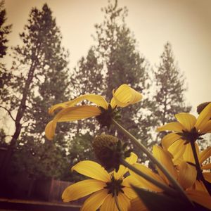 Image post by @bwstratt on Instagram