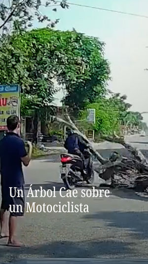 Video post by @nmasunivision on Instagram