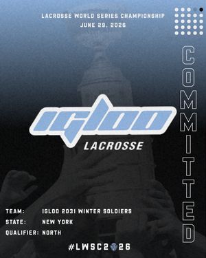 Image post by @worldserieschampionship on Instagram