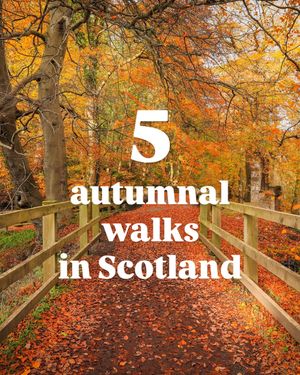 Image post by @visitscotland on Instagram