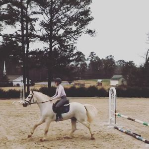 Image post by @clairecumbee on Instagram