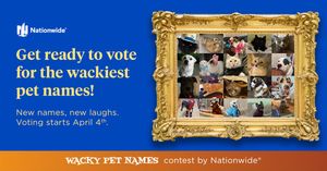 Image post by @company/nationwidepet on LinkedIn