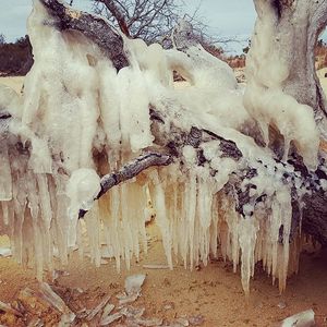 Image post by @theouterbanksnc on Instagram