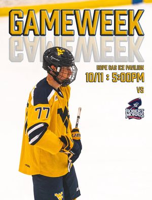 Image post by @wvuhockeyd4 on Instagram