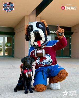 Image post by @coloradoavalanche on Instagram