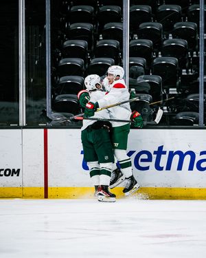 Image post by @minnesotawild on Instagram