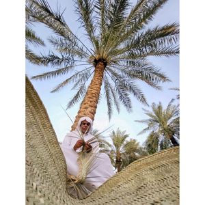 Image post by @abbasalkhamis on Instagram
