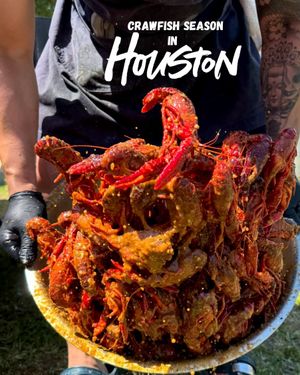 Image post by @visit_houston on Instagram