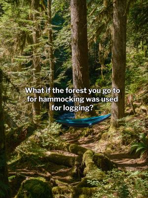 Image post by @enohammocks on Instagram