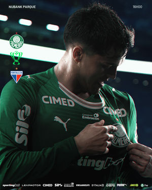 Image post by @palmeiras on Instagram