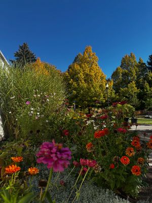 Image post by @wsupullman on Instagram