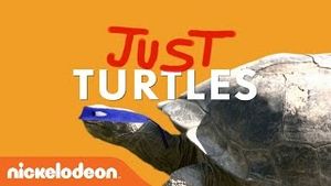 Video post by @nickelodeon on YouTube