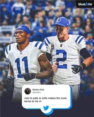 Image post by @bluewirenfl on Instagram