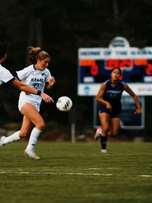 Image post by @stahawkswsoc on Instagram