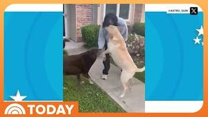Video post by @today on YouTube