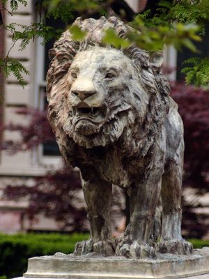 Image post by @gocolumbialions on Instagram