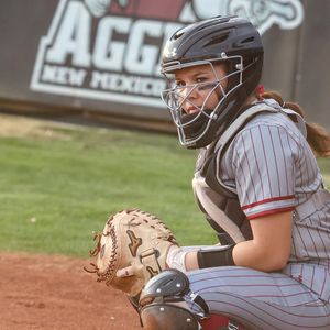 Image post by @nmstatesoftball on Instagram