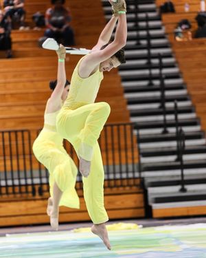 Image post by @wgisportofthearts on Instagram