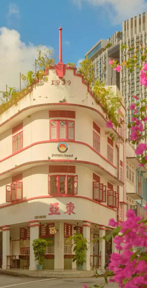 Image post by @visit_singapore on TikTok