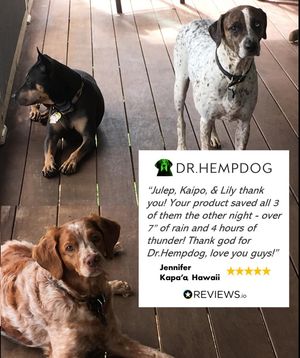 Image post by @drhempdog on Instagram