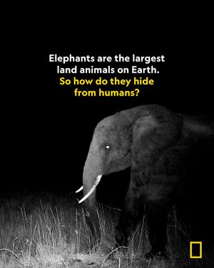 Image post by @natgeo on Instagram