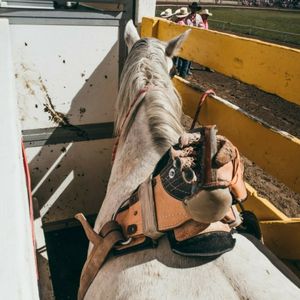 Image post by @resistol1927 on Instagram