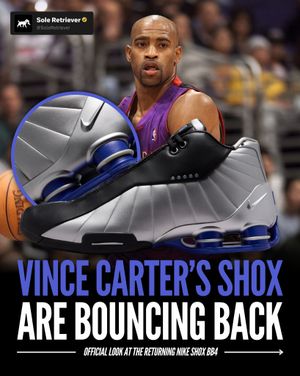 Image post by @soleretriever on Instagram