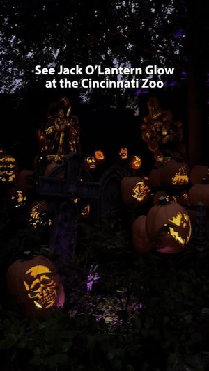 Video post by @Enquirer on Facebook