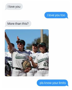 Image post by @msu_softball on Instagram