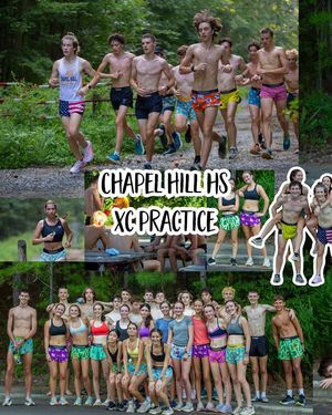 Image post by @chicknlegsrunning on Instagram