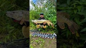 Video post by @jonasederfishing on YouTube