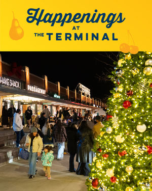 Image post by @sdterminal on Instagram