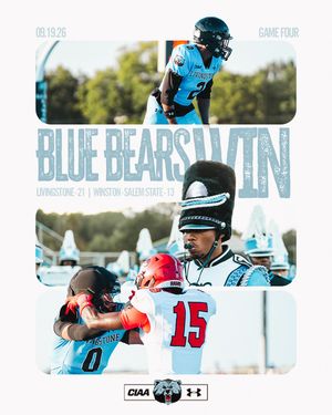 Image post by @bluebearathletics on Instagram