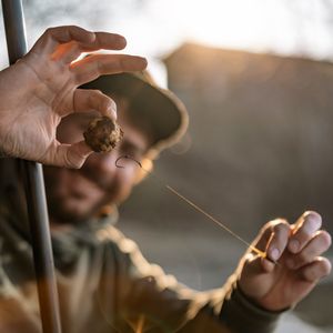 Image post by @brothercarp on Instagram