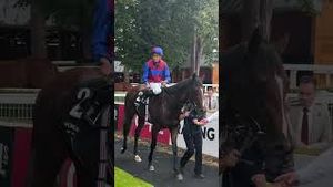Video post by @worldhorseracing on YouTube