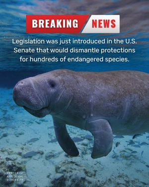 Image post by @centerforbiodiv on Instagram